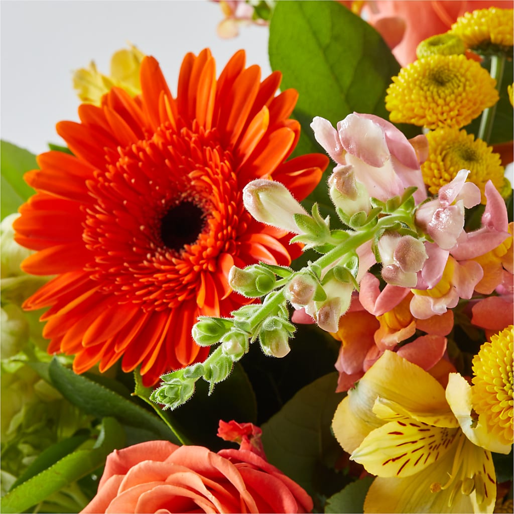 Autumn Sunshine Bouquet – HOORAY'S FROM HOLLYWOOD, Hollywood FL