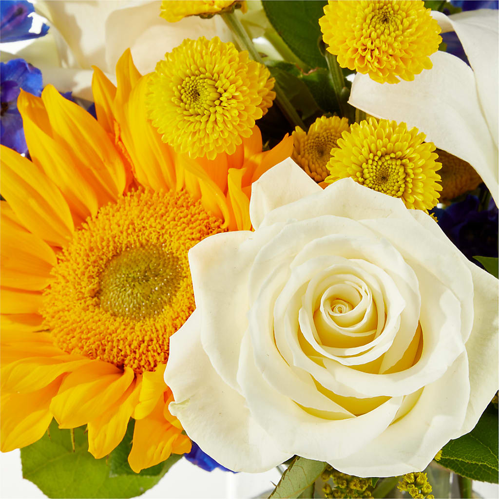 Stargazing Bouquet – HOORAY'S FROM HOLLYWOOD, Hollywood FL