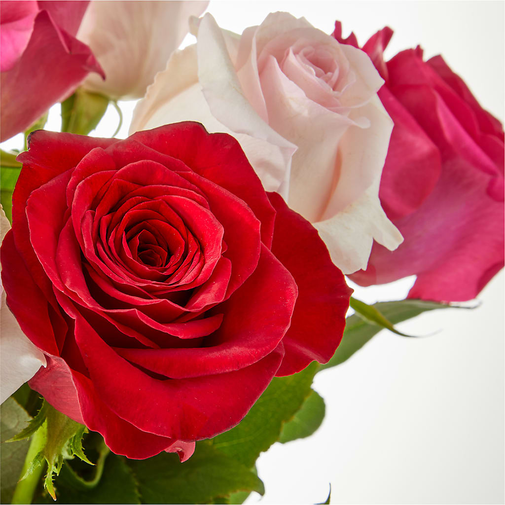 Charming Rose Bouquet – HOORAY'S FROM HOLLYWOOD, Hollywood FL