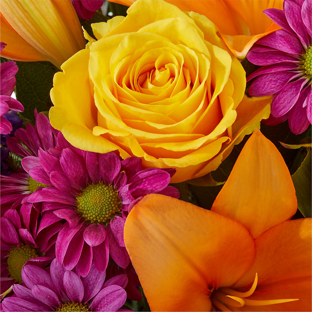 Colorful Visions Bouquet – HOORAY'S FROM HOLLYWOOD, Hollywood FL