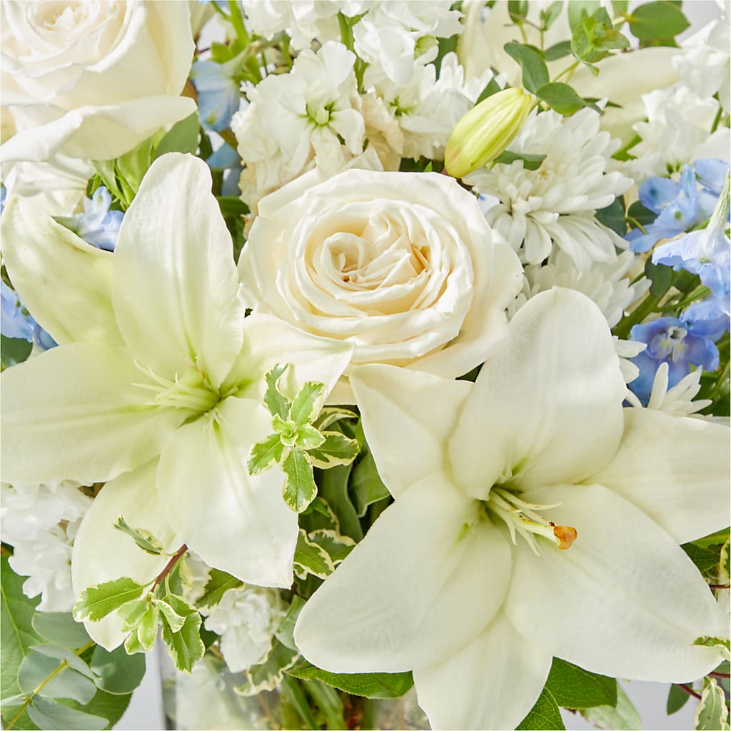 Peace of Mind Bouquet – HOORAY'S FROM HOLLYWOOD, Hollywood FL