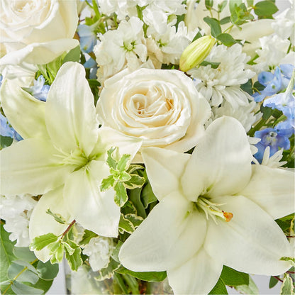 Peace of Mind Bouquet – HOORAY'S FROM HOLLYWOOD, Hollywood FL