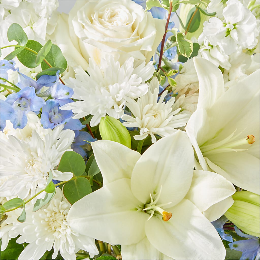 Peace of Mind Bouquet – HOORAY'S FROM HOLLYWOOD, Hollywood FL