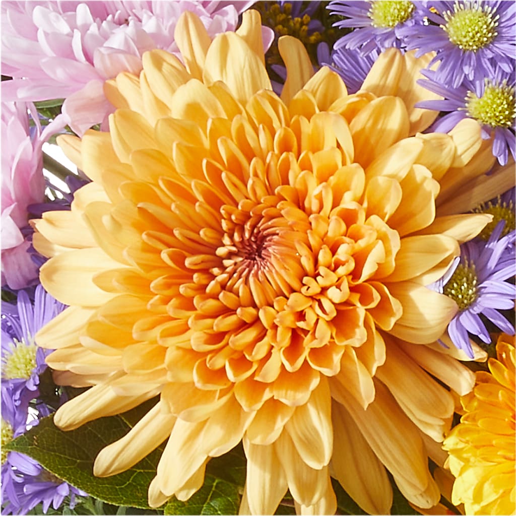 Countryside Bouquet – HOORAY'S FROM HOLLYWOOD, Hollywood FL
