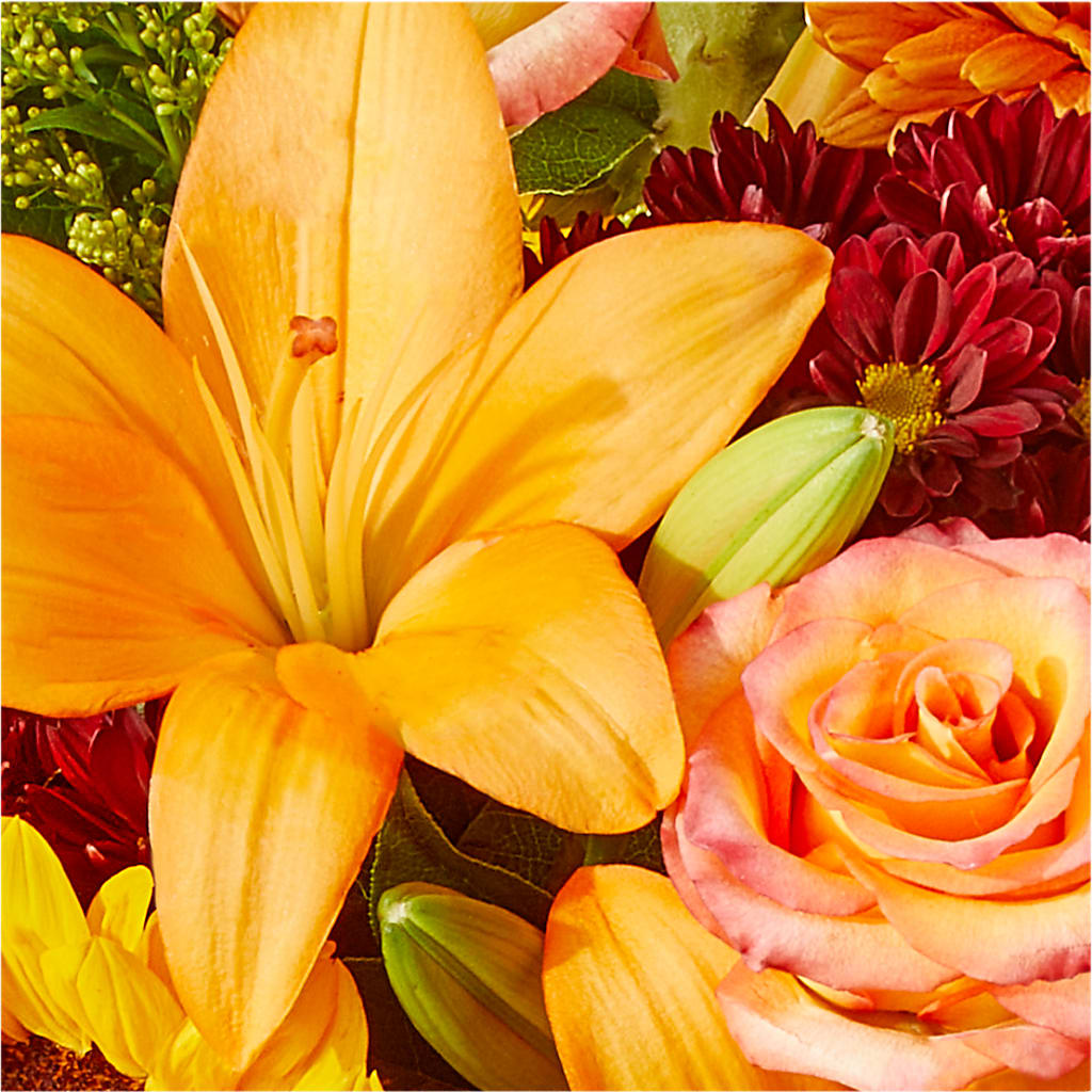 Seasons Change Bouquet – HOORAY'S FROM HOLLYWOOD, Hollywood FL