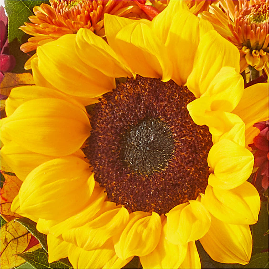 Sunny Side Bouquet – HOORAY'S FROM HOLLYWOOD, Hollywood FL