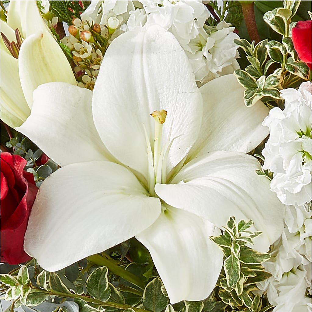 Twinkle Lights Bouquet – HOORAY'S FROM HOLLYWOOD, Hollywood FL