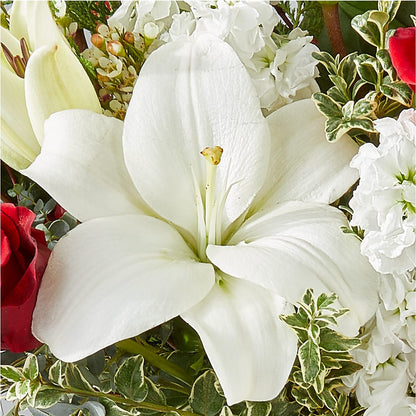 Twinkle Lights Bouquet – HOORAY'S FROM HOLLYWOOD, Hollywood FL