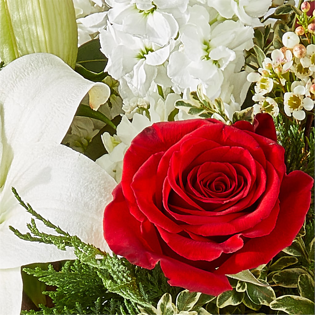 Twinkle Lights Bouquet – HOORAY'S FROM HOLLYWOOD, Hollywood FL