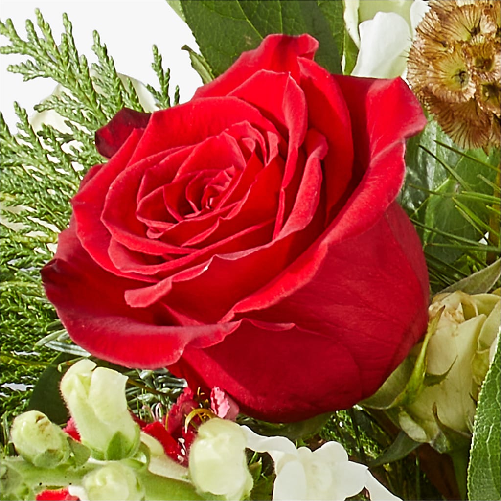 Deck the Halls Bouquet – HOORAY'S FROM HOLLYWOOD, Hollywood FL