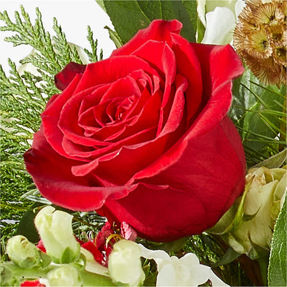 Deck the Halls Bouquet – HOORAY'S FROM HOLLYWOOD, Hollywood FL