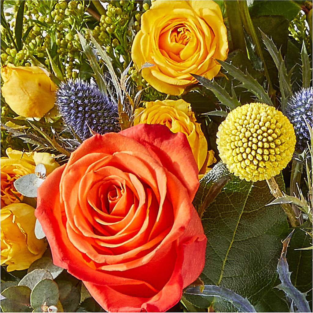Disco Bouquet – HOORAY'S FROM HOLLYWOOD, Hollywood FL