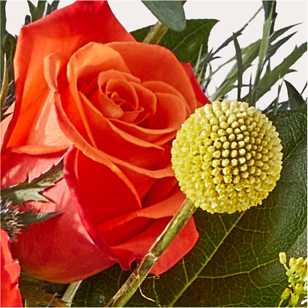 Disco Bouquet – HOORAY'S FROM HOLLYWOOD, Hollywood FL
