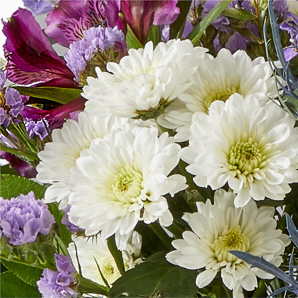 Shooting Star Bouquet – HOORAY'S FROM HOLLYWOOD, Hollywood FL