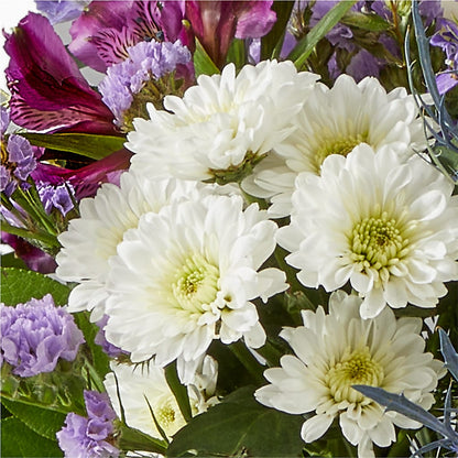 Shooting Star Bouquet – HOORAY'S FROM HOLLYWOOD, Hollywood FL
