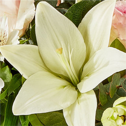 Ballet Slippers Bouquet – HOORAY'S FROM HOLLYWOOD, Hollywood FL
