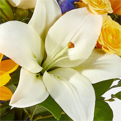 Wonderfully Sunny Bouquet – HOORAY'S FROM HOLLYWOOD, Hollywood FL