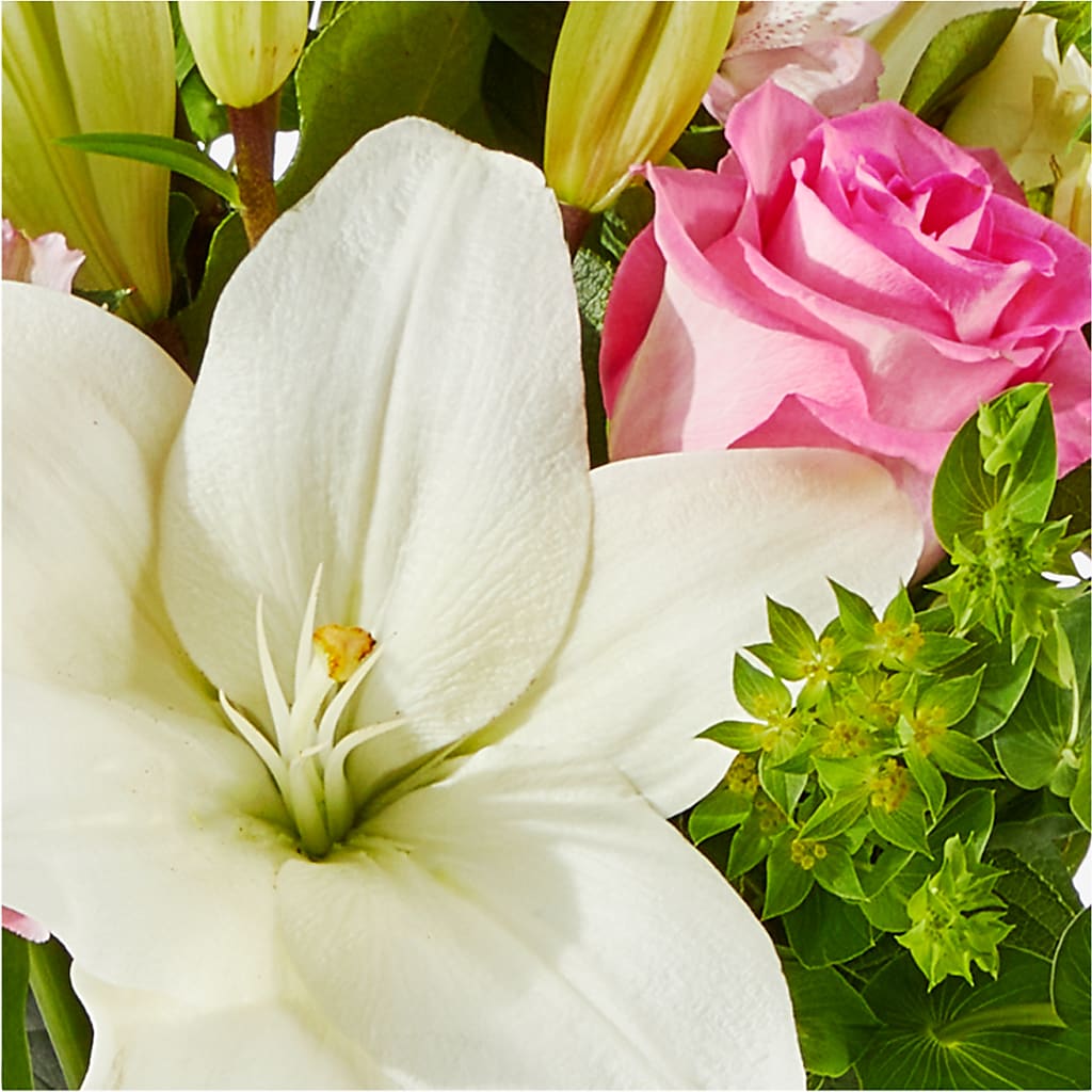 Fondly Bouquet – HOORAY'S FROM HOLLYWOOD, Hollywood FL