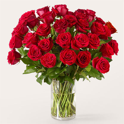 The One Red Rose Bouquet – HOORAY'S FROM HOLLYWOOD, Hollywood FL