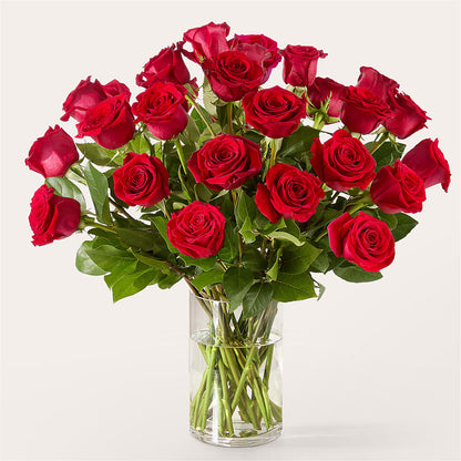 The One Red Rose Bouquet – HOORAY'S FROM HOLLYWOOD, Hollywood FL