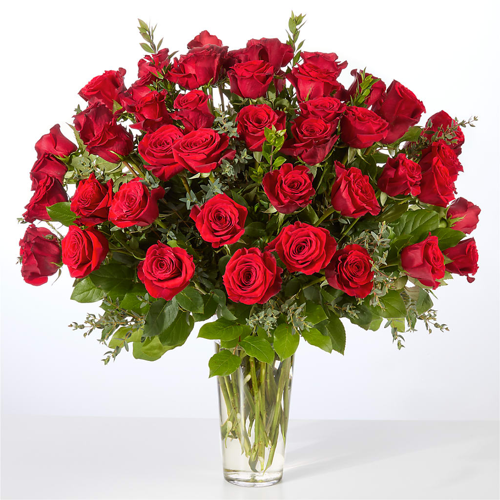 Forever Yours Fifty Stem Red Rose Bouquet – HOORAY'S FROM HOLLYWOOD, Hollywood FL
