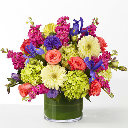 The Couture – HOORAY'S FROM HOLLYWOOD, Hollywood FL