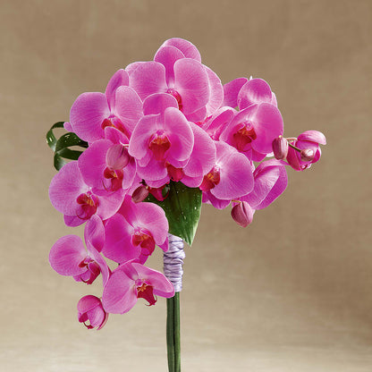 Glorious Bouquet – HOORAY'S FROM HOLLYWOOD, Hollywood FL