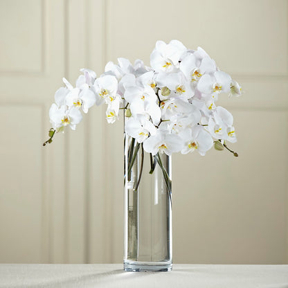 White Phalaenopsis Bouquet – HOORAY'S FROM HOLLYWOOD, Hollywood FL