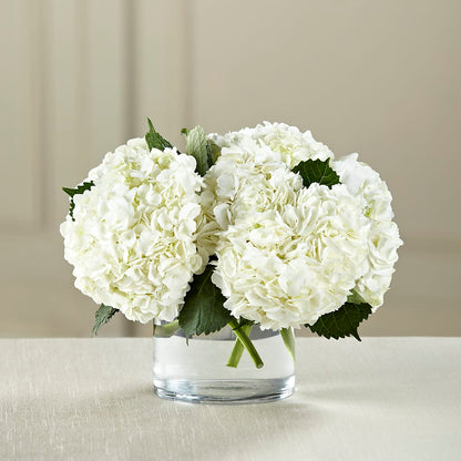 White Hydrangea Bouquet – HOORAY'S FROM HOLLYWOOD, Hollywood FL