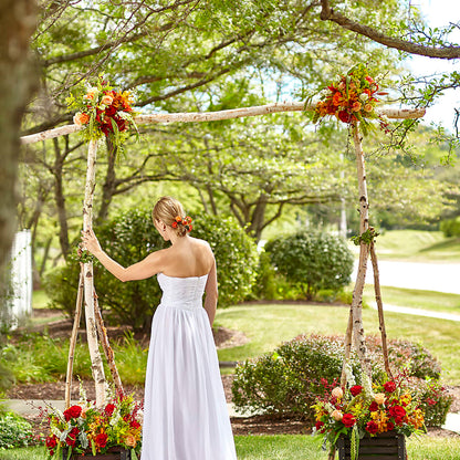 Arbor of Love Archway – HOORAY'S FROM HOLLYWOOD, Hollywood FL