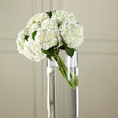 White Hydrangea Hand-Tied Bouquet – HOORAY'S FROM HOLLYWOOD, Hollywood FL